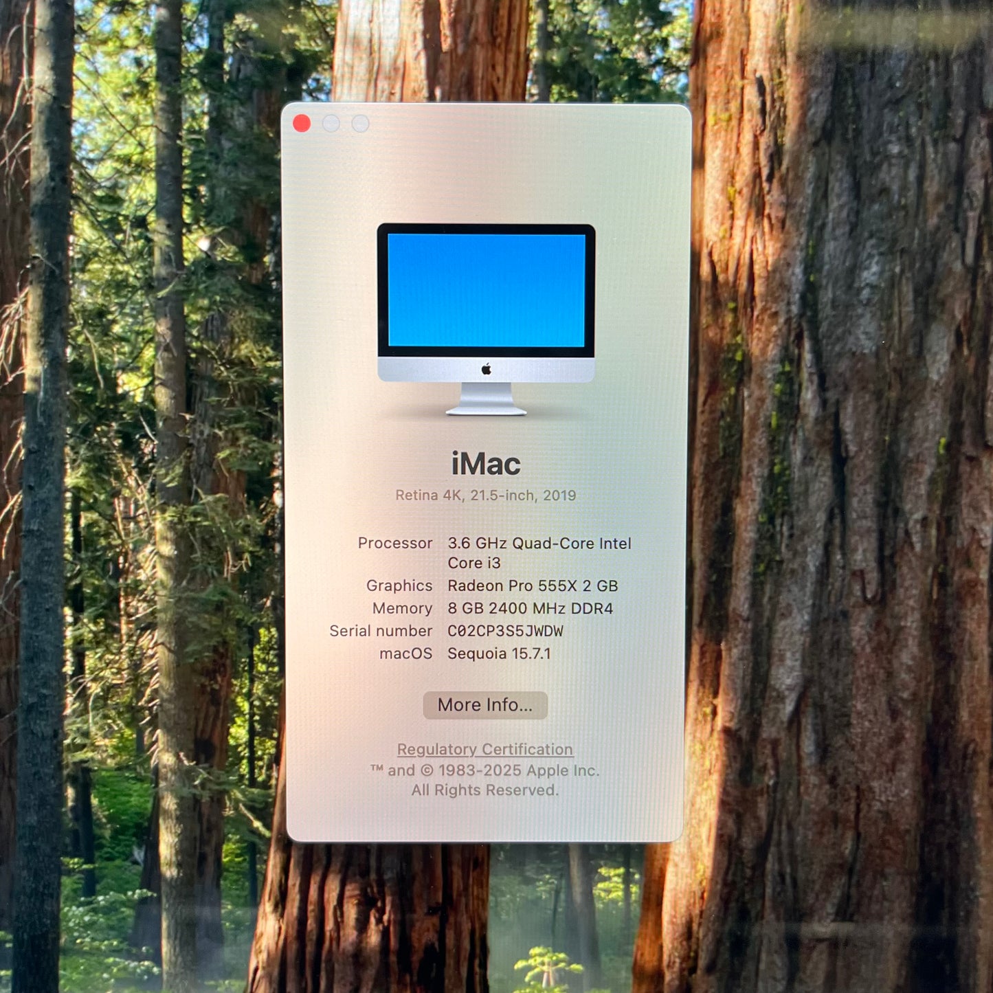 2019 Apple iMac 21.5" i5 3.6GHz 8GB RAM 128GB Fusion Silver A2116
